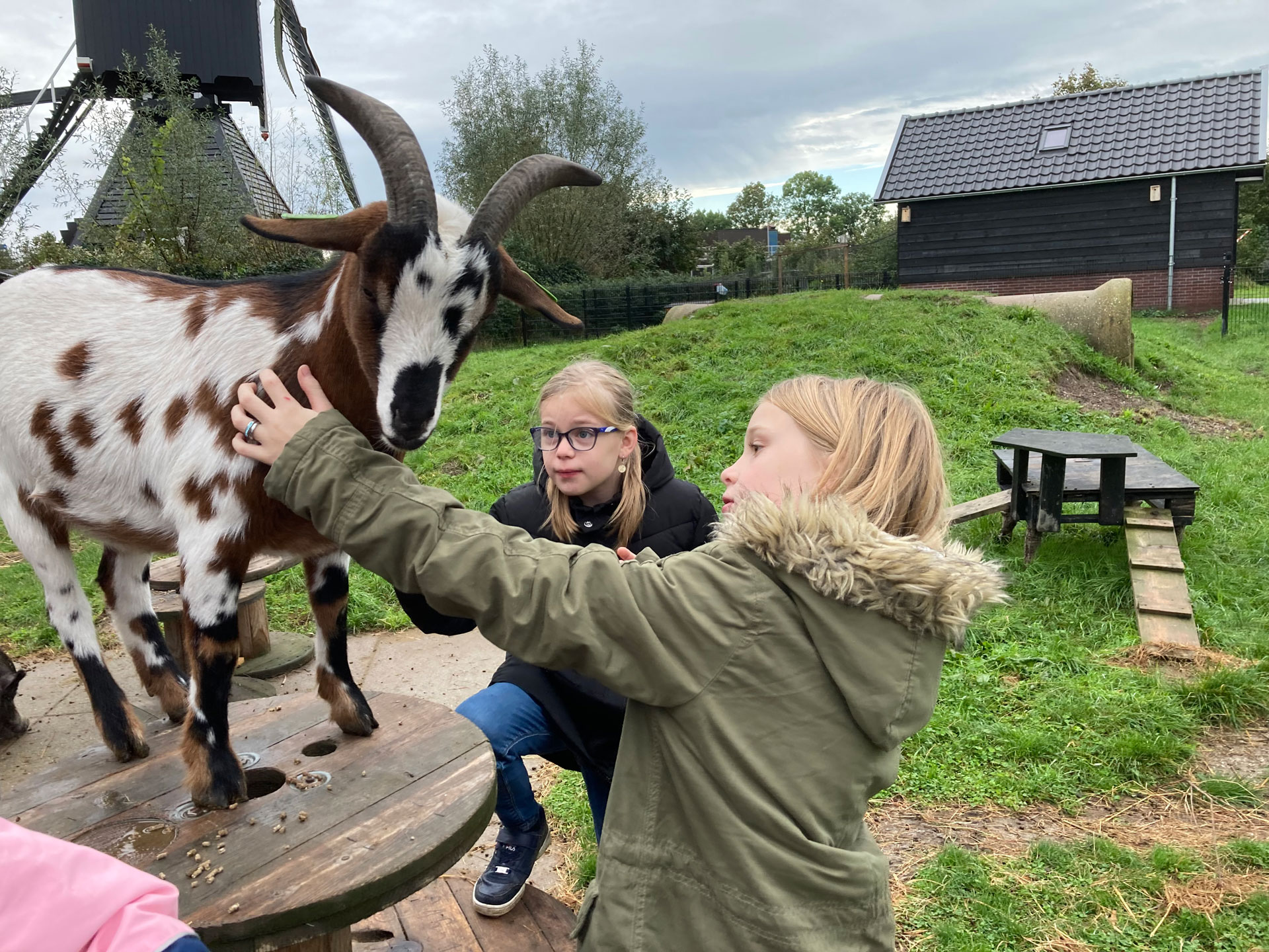 Kinderboerderij-Hestiashof in Leerdam waar plek is voor jong en oud